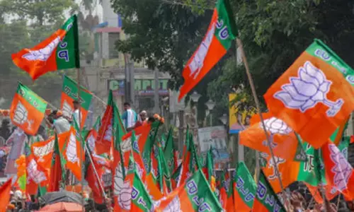 இந்தியில் மருத்துவக் கல்வி பெரிய மாற்றத்தை ஏற்படுத்தும்; பாஜக