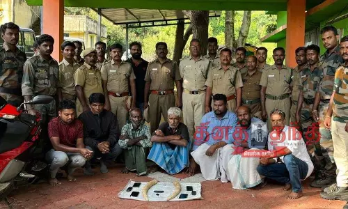 விற்பனைக்காக வைத்திருந்த யானை தந்தங்கள் பறிமுதல்; 7 பேர் கைது விற்பனைக்காக வைத்திருந்த யானை தந்தங்கள் பறிமுதல்; 7 பேர் கைது