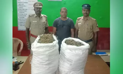 ஓடும் ரெயிலில் 18 கிலோ கஞ்சா கடத்தல் - ஒடிசா வாலிபர் கைது ஓடும் ரெயிலில் 18 கிலோ கஞ்சா கடத்தல் - ஒடிசா வாலிபர் கைது