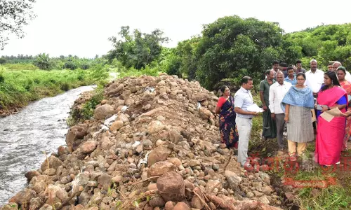 நாமக்கல் அருகே  கொக்குவாரி காட்டாற்றில் சீரமைப்பு பணிகளை கலெக்டர் ஆய்வு