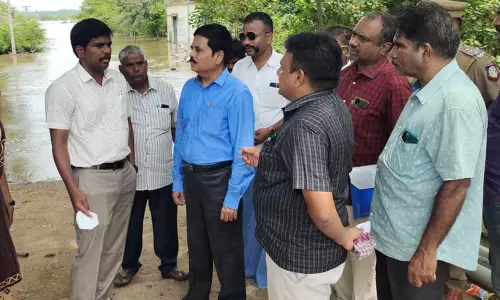 தாருகாவனேசுவரர் கோவிலில் தீர்த்தவாரி நிகழ்ச்சி; இன்று நடக்கிறது