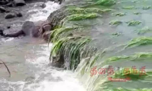 சாலை அடித்துச்செல்லப்பட்டதால் போக்குவரத்து துண்டிப்பு