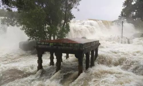 குமரியில் கொட்டும் மழை; திற்பரப்பு அருவியில் சுற்றுலா பயணிகள் குளிக்க தடை குமரியில் கொட்டும் மழை; திற்பரப்பு அருவியில் சுற்றுலா பயணிகள் குளிக்க தடை