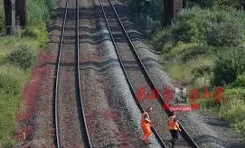 தண்டவாளத்தை கடக்க முயன்ற வாலிபர் ரெயிலில் அடிபட்டு பலி