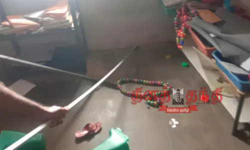 பாம்பு பிடிபட்டது