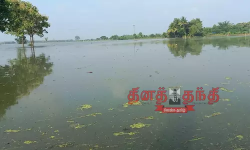 கொள்ளிடம் ஆற்றின் வெள்ளநீர் புகுந்ததில் 2 ஆயிரம் ஏக்கர் நெற்பயிர்கள் மூழ்கின
