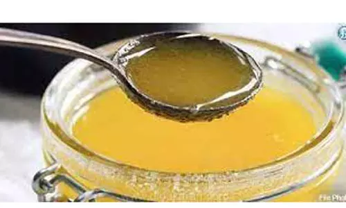 மும்பையில் 400 கிலோ கலப்பட நெய் பறிமுதல் மும்பையில் 400 கிலோ கலப்பட நெய் பறிமுதல்