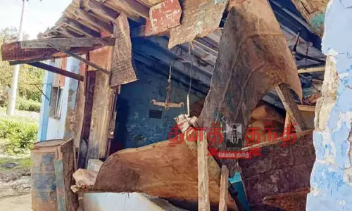 ரேஷன் கடையை மீண்டும் உடைத்த காட்டுயானை