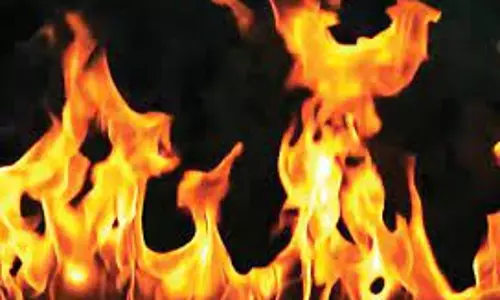 தீயில் கருகி மாடு சாவு