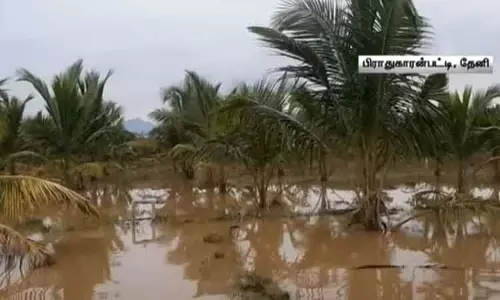 தேனியில் விளைநிலங்களில் தேங்கி நிற்கும் வெள்ள நீர் - விவசாயிகள் கவலை