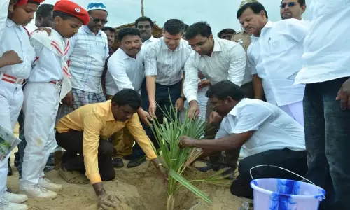 காயல்பட்டினத்தில்  36 ஆயிரம் பனைவிதை நடும்பணி தொடக்கம்