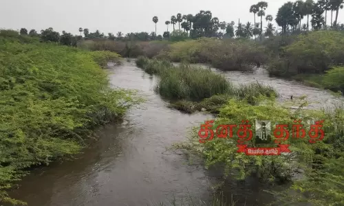 காவிரி, சரபங்கா, திருமணிமுத்தாறு உபரிநீர் இணைப்பு கால்வாய் திட்டம் நிறைவேறுமா ? விவசாயிகள் எதிர்பார்ப்பு காவிரி, சரபங்கா, திருமணிமுத்தாறு உபரிநீர் இணைப்பு கால்வாய் திட்டம் நிறைவேறுமா ? விவசாயிகள் எதிர்பார்ப்பு
