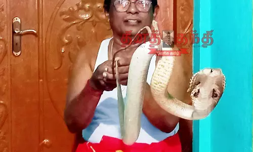 தபால்காரர் வீட்டுக்குள் புகுந்த பாம்பு