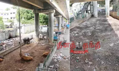 தென்னூர் மேம்பாலத்தின் கீழ்பகுதியை சுத்தம் செய்த மாநகராட்சி ஊழியர்கள்