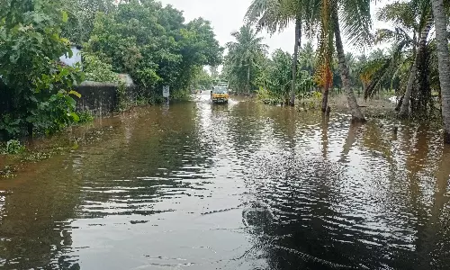 முத்தூர் நகர சுற்றுவட்டார கிராம பகுதிகளில் மழை முத்தூர் நகர சுற்றுவட்டார கிராம பகுதிகளில் மழை