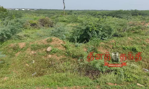 தண்ணீர் இன்றி வறண்டு கிடக்கும்  எஸ்.வாழவந்தி ஏரியில் மராமத்து பணிகள் நடைபெறுமா?  விவசாயிகள் எதிர்பார்ப்பு