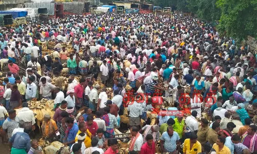 திருமங்கலம் ஆட்டுச்சந்தையில்  கூட்டம் அலைமோதியது