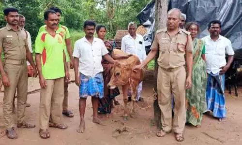 கிணற்றில் விழுந்த பசுமாடு மீட்பு