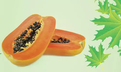 பப்பாளி விதையின் பலன்கள்