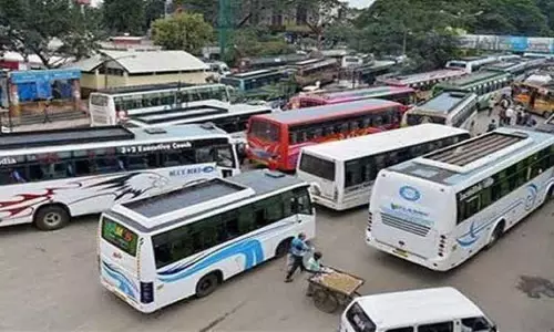 ஆம்னி பஸ்களில் அதிகாரிகள் ஆய்வு