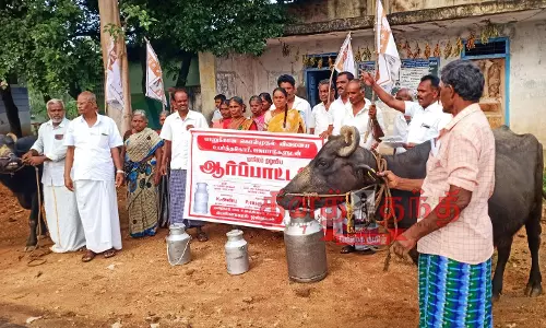 கொள்முதல் விலையை உயர்த்தி வழங்க கோரி பால் உற்பத்தியாளர்கள், மாடுகளுடன் ஆர்ப்பாட்டம் கொள்முதல் விலையை உயர்த்தி வழங்க கோரி பால் உற்பத்தியாளர்கள், மாடுகளுடன் ஆர்ப்பாட்டம்