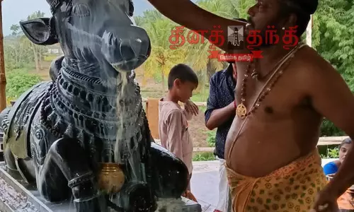 பையர்நத்தம் அமிர்தேஸ்வரர் கோவிலில் சனி பிரதோஷ வழிபாடு