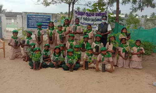 சுள்ளிபாளையம் அரசு பள்ளியில் மாணவ-மாணவிகளுக்கு மரக்கன்றுகள் வினியோகம்