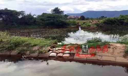 கனமழைக்கு கண்மாய் கரை உடைந்தது