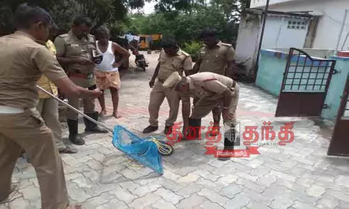 மழை வெள்ளத்தில் அடித்து வரப்பட்ட உடும்பு