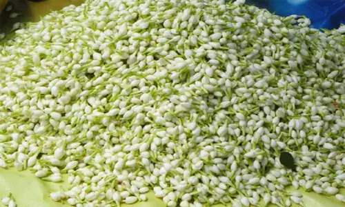 தீபாவளி பண்டிகை: மதுரை பூ மார்க்கெட்டில் மல்லிகை பூ ரூ.1,200-க்கு விற்பனை..!