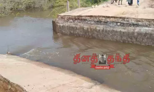 கிருதுமால் நதியின் குறுக்கே உள்ள தரைப்பாலம் சேதம்