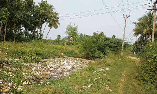 பாசன வாய்க்கால்களை தூர்வாராததால் வெள்ளத்தில் மூழ்கும் பயிர்கள்