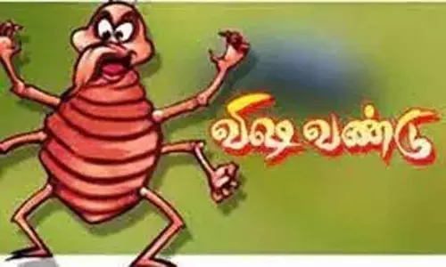 விஷவண்டுகள் அழிப்பு