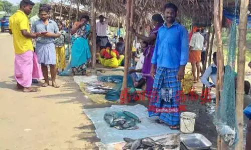 மாயனூரில் மீன் விற்பனை மந்தம்