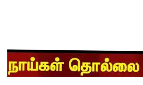 நாய்கள் தொல்லையால் பொதுமக்கள் அவதி நாய்கள் தொல்லையால் பொதுமக்கள் அவதி
