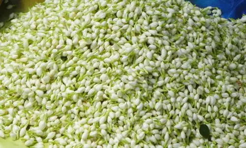 தீபாவளி பண்டிகை:  மதுரை மல்லிகை கிலோ ரூ.1500 வரை விற்பனை