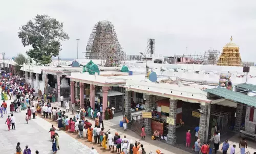 தீபாவளியில் பழனி ஆண்டவரை பார்க்க அலைமோதும் மக்கள் கூட்டம்