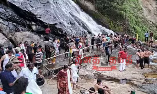 தீபாவளி பண்டிகை விடுமுறை:ஆழியாறில் குவிந்த சுற்றுலா பயணிகள் தீபாவளி பண்டிகை விடுமுறை:ஆழியாறில் குவிந்த சுற்றுலா பயணிகள்