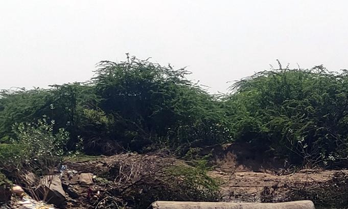 தடுப்பணையுடன் கதவணை அமைக்கப்படுமா?