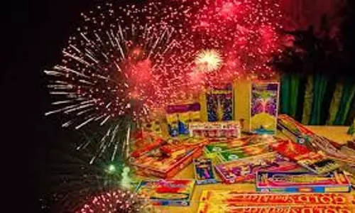 பட்டாசு வெடித்தபோது குடிசை தீப்பிடித்தது- 10 சேவல்கள் கருகின பட்டாசு வெடித்தபோது குடிசை தீப்பிடித்தது- 10 சேவல்கள் கருகின