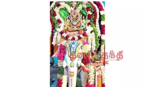 யானை வாகனத்தில் முருகர் யானை வாகனத்தில் முருகர்