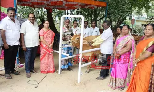 சிறப்பு கால்நடை மருத்துவ முகாம் சிறப்பு கால்நடை மருத்துவ முகாம்