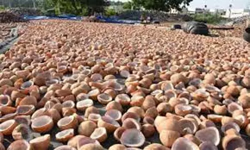 ரூ.2 லட்சத்துக்கு தேங்காய் பருப்பு ஏலம்