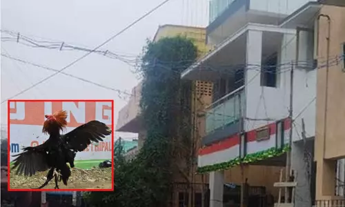 புதுவீட்டுக்கு கோழியை பலி கொடுக்க சென்ற தொழிலாளி மரணம் - திருஷ்டி கழிக்க சென்றவருக்கு நேர்ந்த சோகம்...!