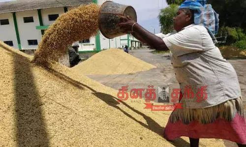 720 மெட்ரிக் டன் நெல் கொள்முதல்