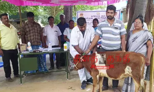 இலவச கால்நடை மருத்துவ முகாம்