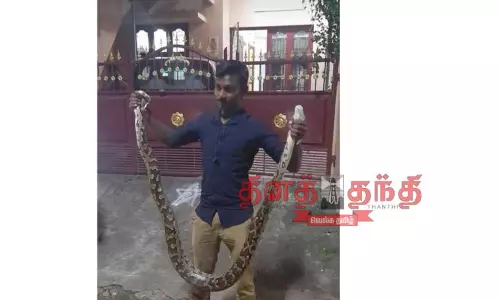 பறக்கையில் மலைப்பாம்பு பிடிபட்டது