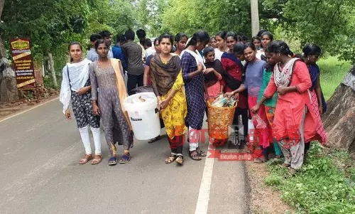 நன்னிலம் அரசு கல்லூரியில் துப்புரவு பணி