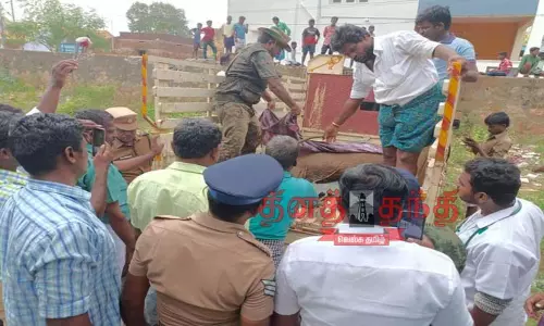 ஊருக்குள் புகுந்த மிளா பிடிபட்டது