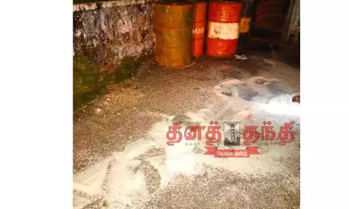உணவு பொருட்களை சிதறடித்த காட்டுயானைகளால் பரபரப்பு